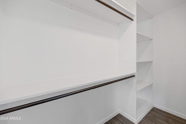 walk in closet featuring dark hardwood / wood-style flooring