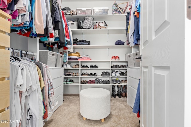 walk in closet featuring light carpet