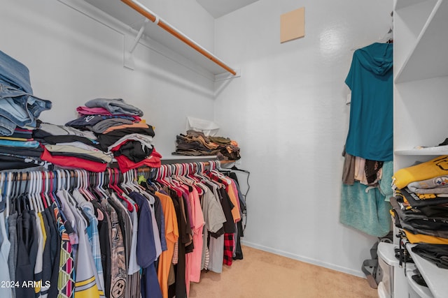 spacious closet with light carpet