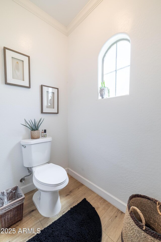 20639 W Grandview Dr, Buckeye, AZ 85396 - bathroom with crown molding, wood finished floors, toilet, and baseboards