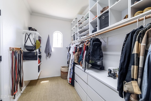 20639 W Grandview Dr, Buckeye, AZ 85396 - spacious closet with light colored carpet