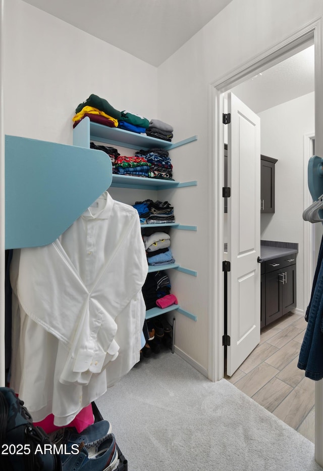 view of spacious closet