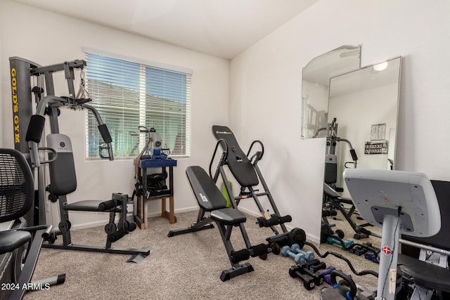 workout room with carpet floors