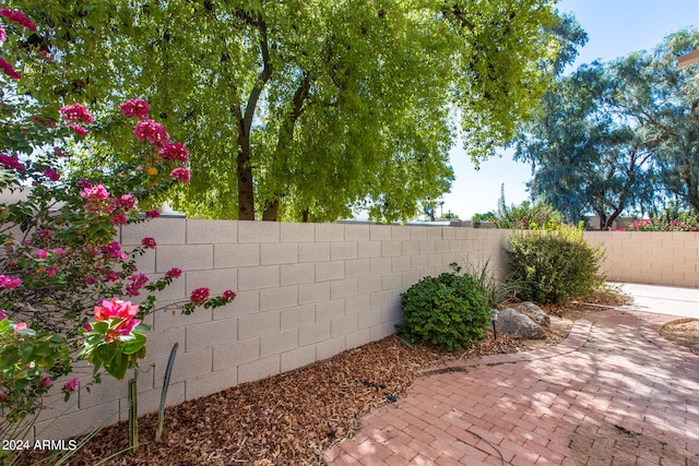 view of yard with a patio area