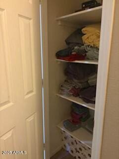 view of closet