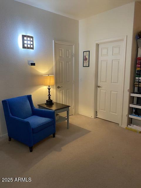 sitting room featuring carpet floors