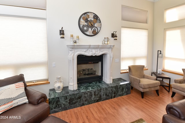 living room featuring a premium fireplace and wood-type flooring