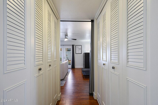 bedroom featuring ceiling fan and dark wood-type flooring