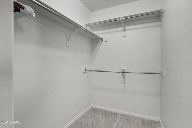 spacious closet featuring carpet flooring