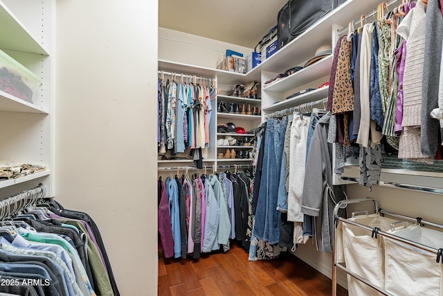 16336 E Ridgeline Dr, Fountain Hills, AZ 85268 - spacious closet featuring wood finished floors