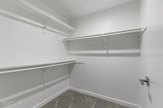 4343 E Soliere Ave Unit 2070, Flagstaff, AZ 86004 - walk in closet with dark carpet