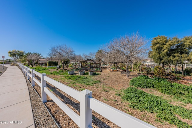 1482 S Banning St, Gilbert, AZ 85296 - view of yard featuring a vegetable garden