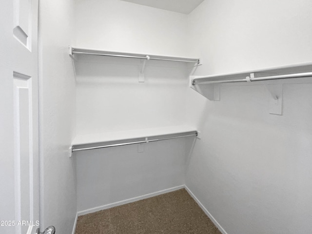 walk in closet featuring carpet