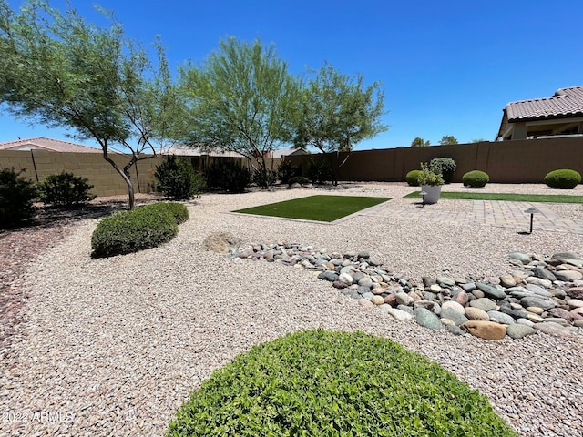 view of yard featuring a patio