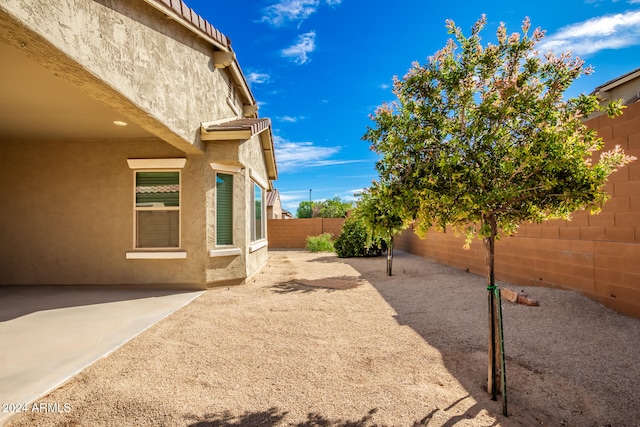 view of yard featuring a patio area