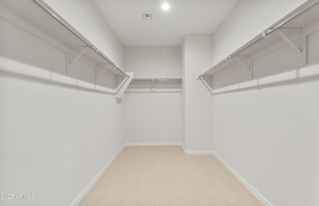 walk in closet with carpet