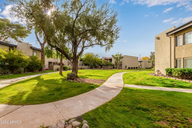 view of community featuring a yard