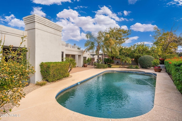 view of pool with a patio