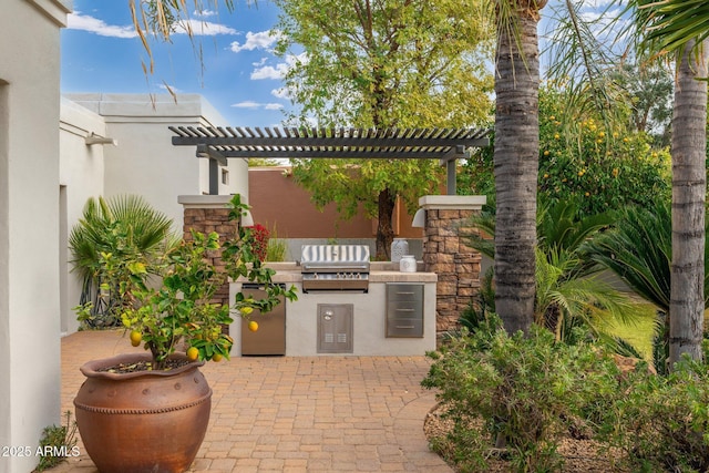 view of patio featuring area for grilling and exterior kitchen