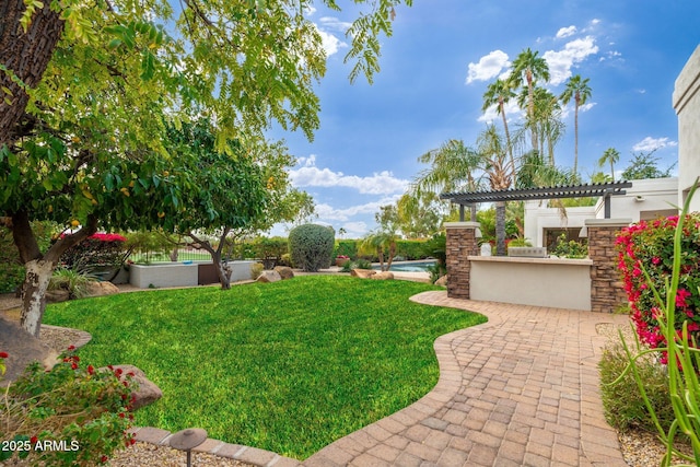 view of yard featuring a patio