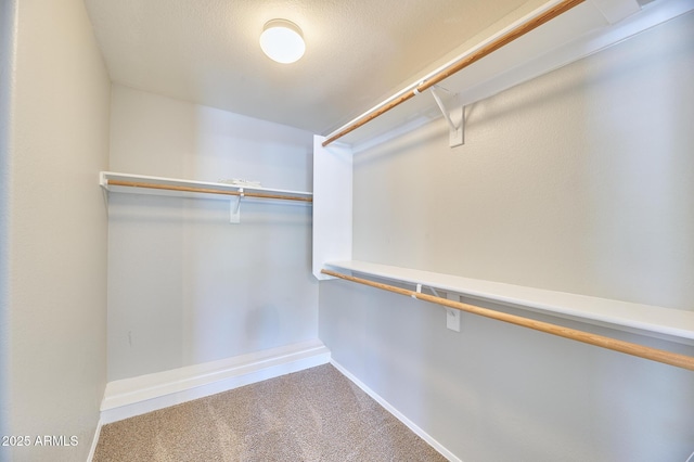 16631 E El Lago Blvd Unit 208, Fountain Hills, AZ 85268 - spacious closet featuring carpet floors