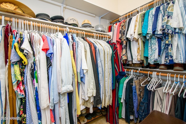 walk in closet with carpet