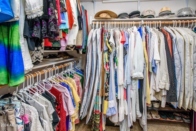 view of spacious closet