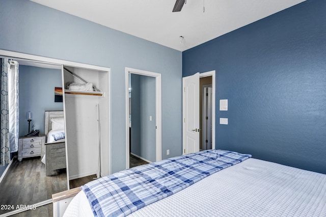 bedroom with ceiling fan, dark hardwood / wood-style flooring, and a closet