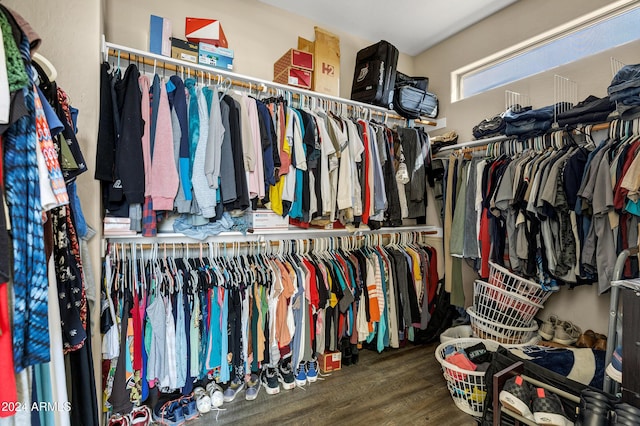 spacious closet with hardwood / wood-style flooring