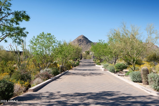 view of property's community featuring a mountain view