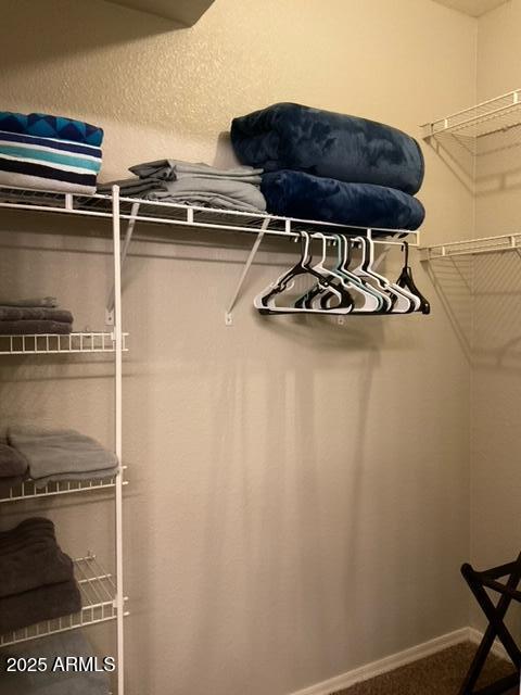 5345 E Van Buren St Unit 370, Phoenix, AZ 85008 - spacious closet featuring carpet floors