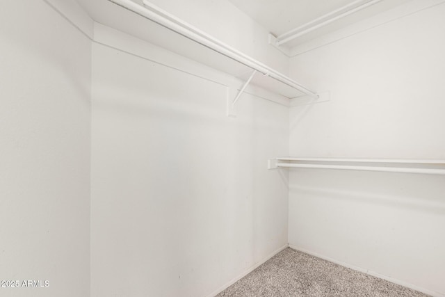 spacious closet with carpet