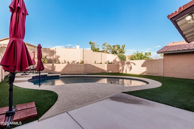 view of pool with a patio area, a fenced backyard, and a fenced in pool