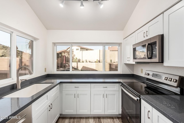 kitchen featuring lofted ceiling, a wealth of natural light, appliances with stainless steel finishes, and a sink