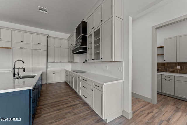 kitchen featuring sink, tasteful backsplash, hardwood / wood-style flooring, and custom range hood