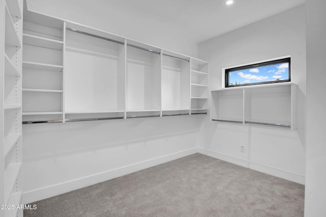 walk in closet featuring carpet