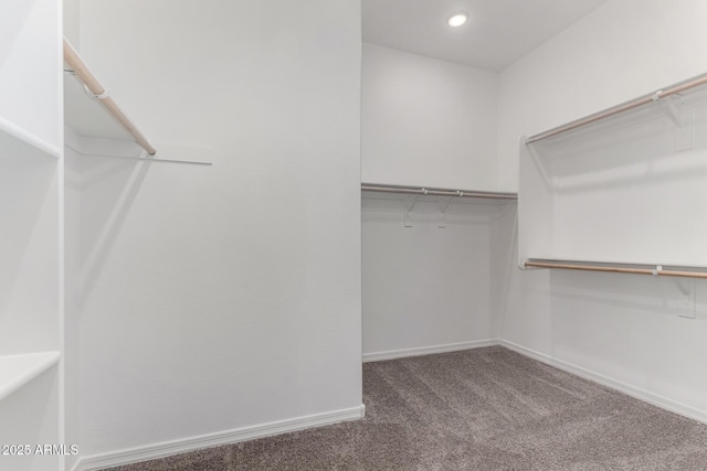 spacious closet with carpet