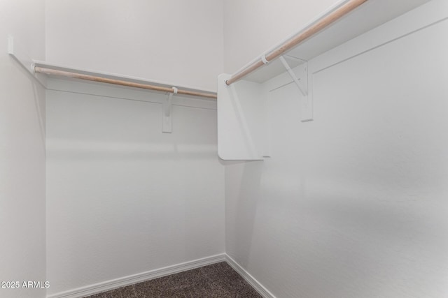 spacious closet with carpet