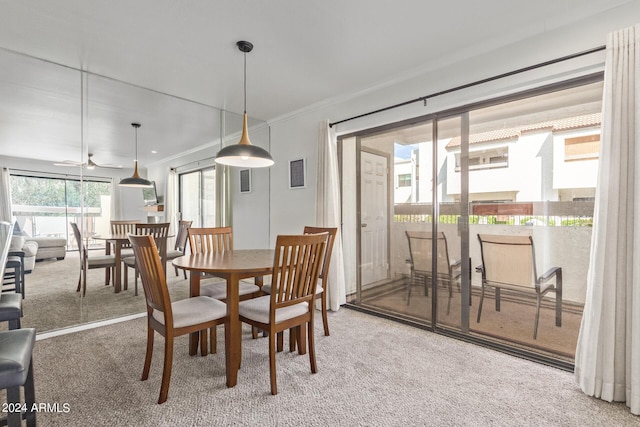 carpeted dining space featuring crown molding and ceiling fan