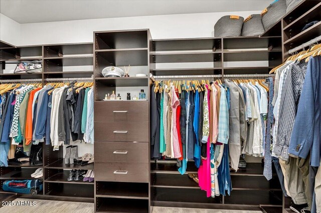 walk in closet featuring wood finished floors