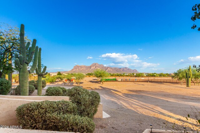 view of yard featuring a rural view and a mountain view