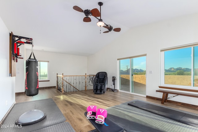 exercise room featuring ceiling fan, vaulted ceiling, a wealth of natural light, and hardwood / wood-style floors