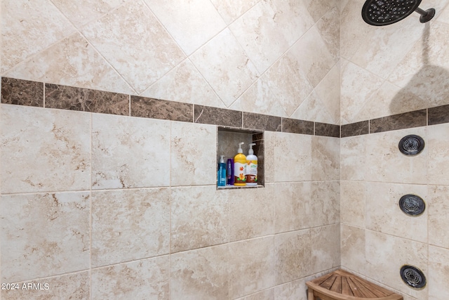 interior details with tiled shower