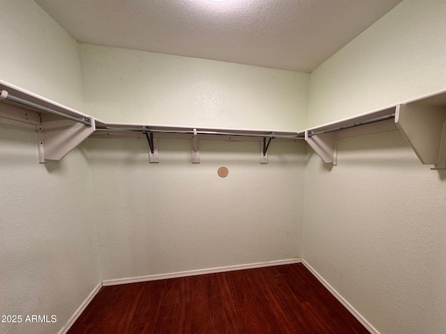 walk in closet with hardwood / wood-style flooring