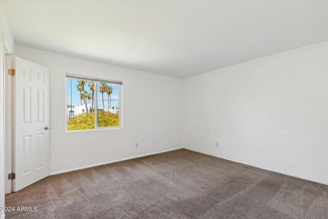 unfurnished room featuring carpet floors