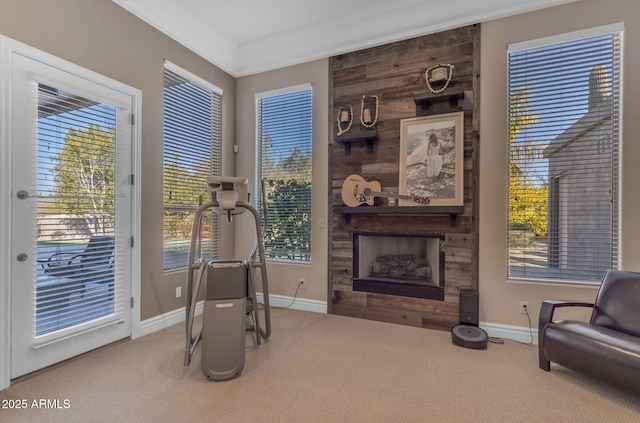 exercise room featuring ornamental molding, carpet floors, and a tile fireplace