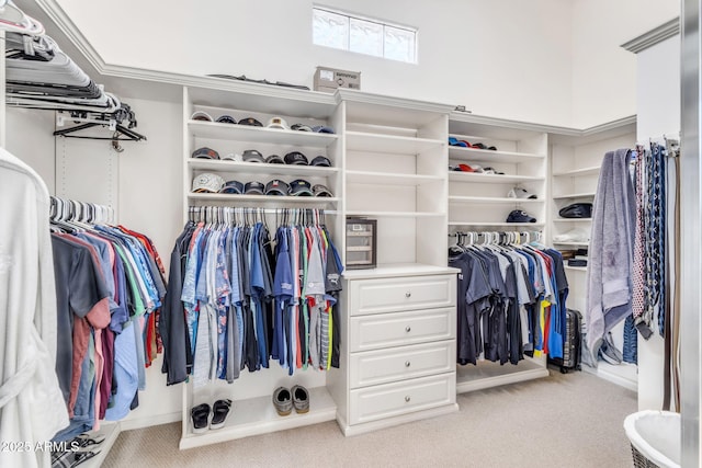 spacious closet with light colored carpet