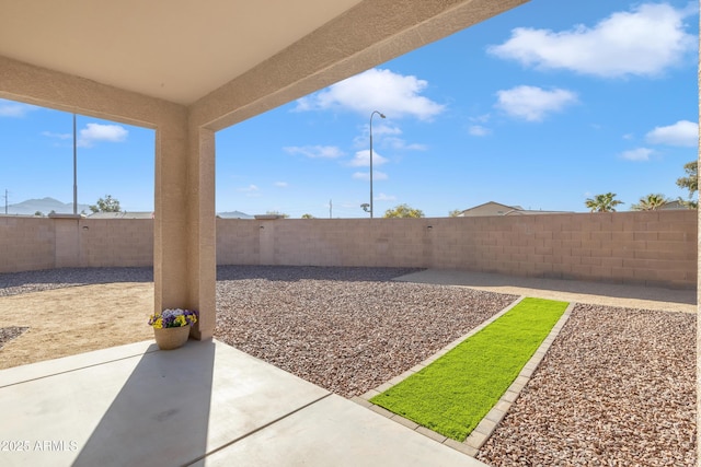 view of yard with a patio