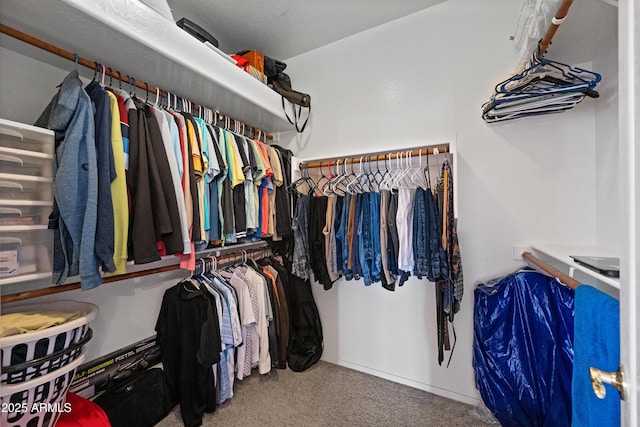 walk in closet with carpet floors