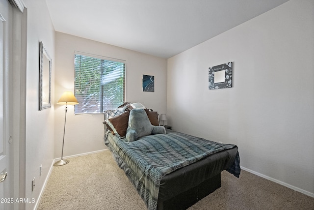 bedroom with carpet flooring